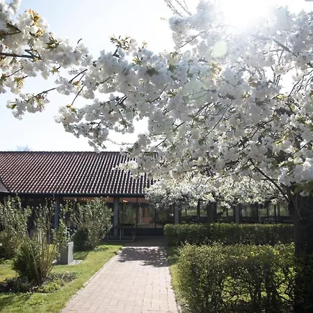 Danhostel Sønderborg City-3